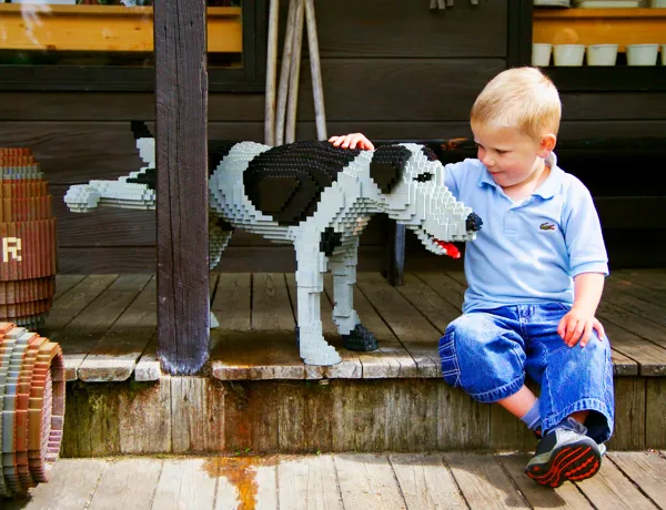 Dreng Og LEGO Hund Web
