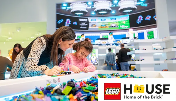 Lego House V5 700X500