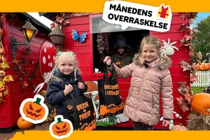 MO Brick Or Treat 700X500