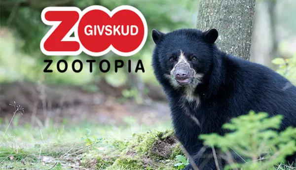 Givskud Zoo V2 700X500